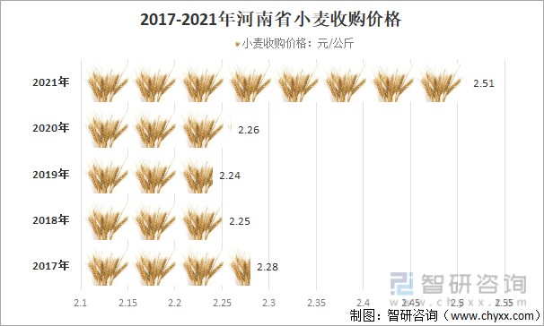 麦子最新价格动态解析报告