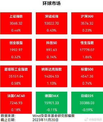 2024澳门天天开好彩大全app｜数据解释说明规划