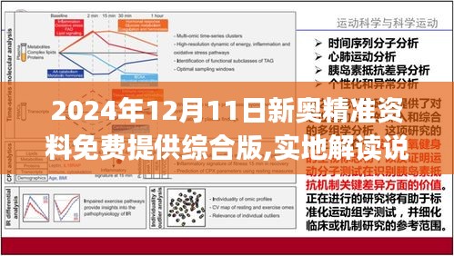 2024新奥最新资料｜实用技巧与详细解析